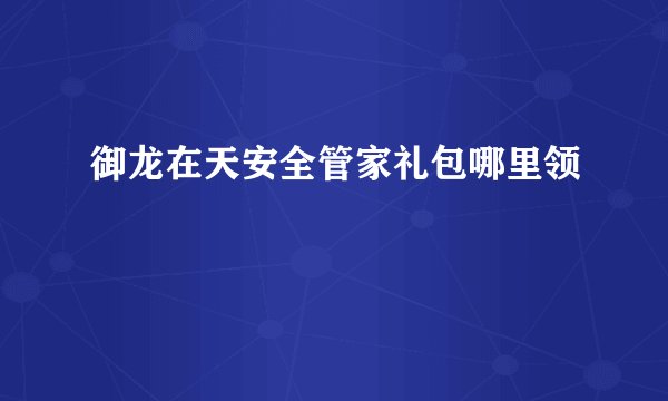 御龙在天安全管家礼包哪里领