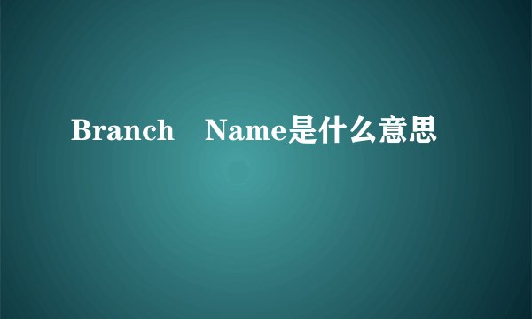 Branch Name是什么意思
