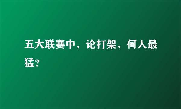五大联赛中，论打架，何人最猛？