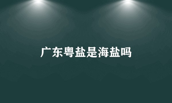 广东粤盐是海盐吗