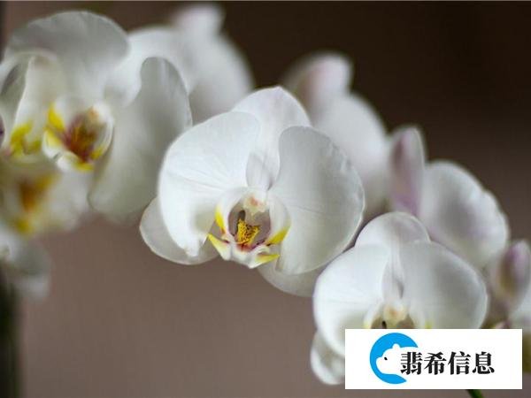 李白《劳劳亭》天下伤心处赏析-唐代关于别有怀抱的古诗