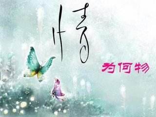 问世间情为何物，不过一物降一物是什么意思？？？