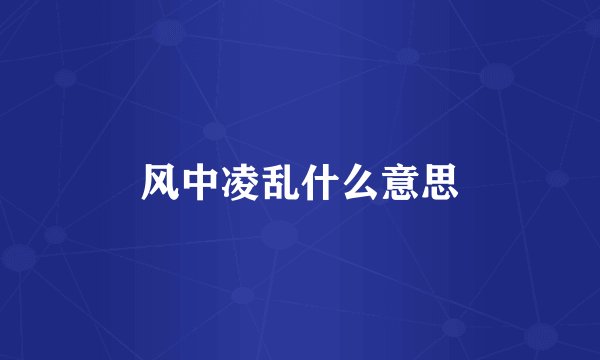 风中凌乱什么意思