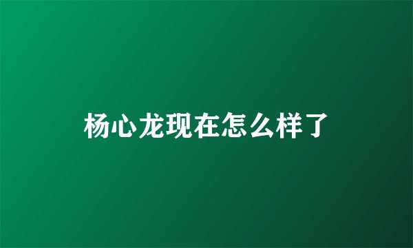 杨心龙现在怎么样了