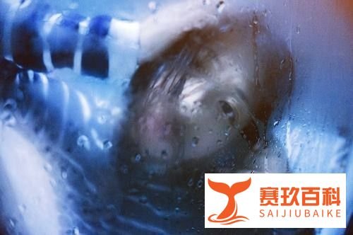 有哪些比较好看的恐怖小说?