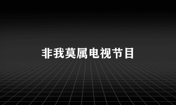 非我莫属电视节目