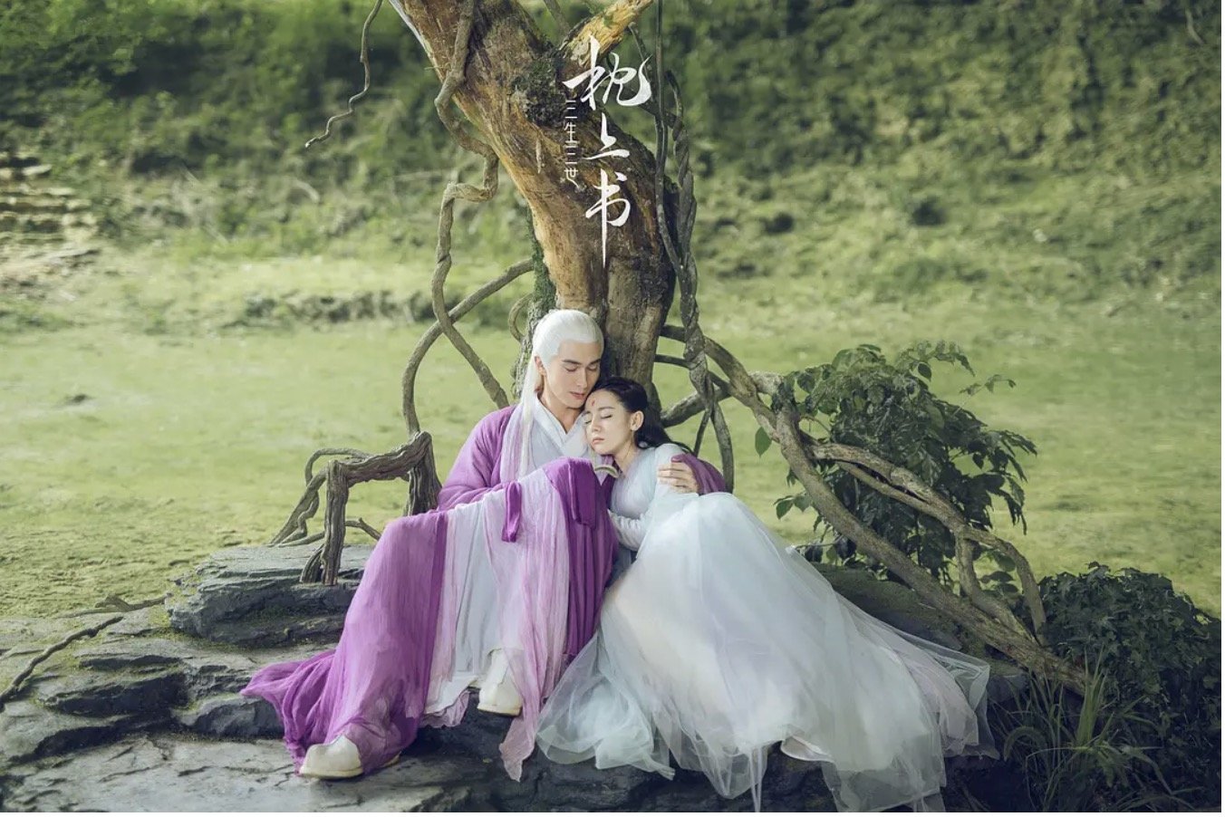 如何评价电视剧版的《三生三世枕上书》?