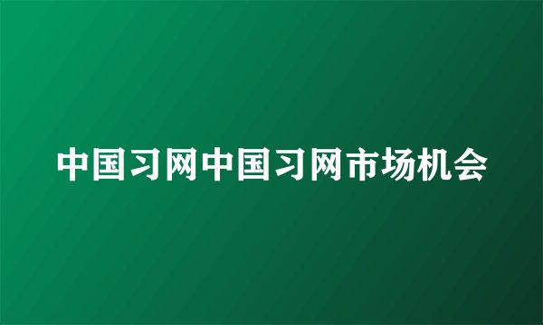 中国习网中国习网市场机会