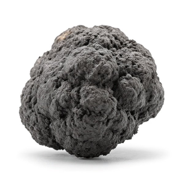 屎放大后的样子