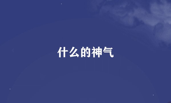 什么的神气