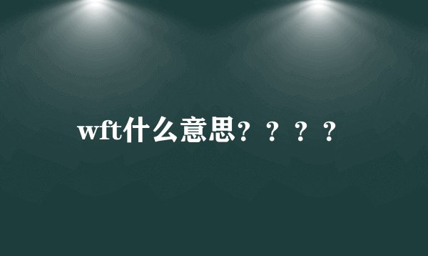 wft什么意思？？？？