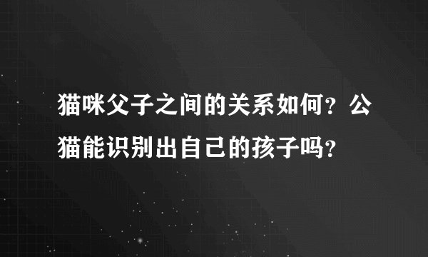 猫咪父子之间的关系如何?公猫能识别出自己的孩子吗?