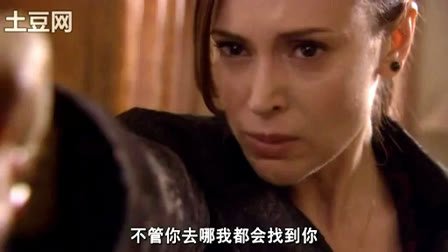 黑帮中的女人的介绍