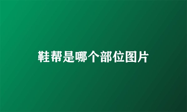 鞋帮是哪个部位图片