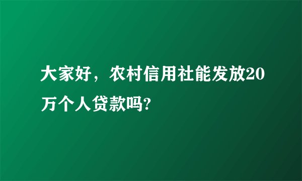 大家好，农村信用社能发放20万个人贷款吗?