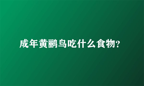成年黄鹂鸟吃什么食物？