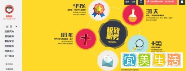 爱狗团：身价超千万的90后CEO想让天下没有难买的狗