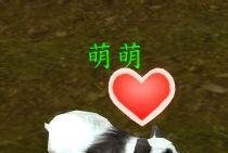 魔兽世界如何变身小熊猫?
