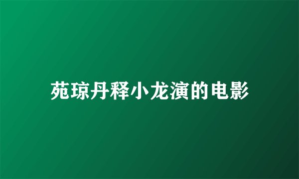 苑琼丹释小龙演的电影