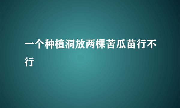 一个种植洞放两棵苦瓜苗行不行