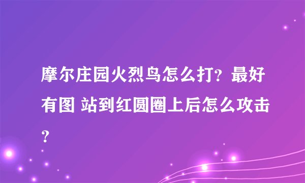摩尔庄园火烈鸟怎么打？最好有图 站到红圆圈上后怎么攻击？