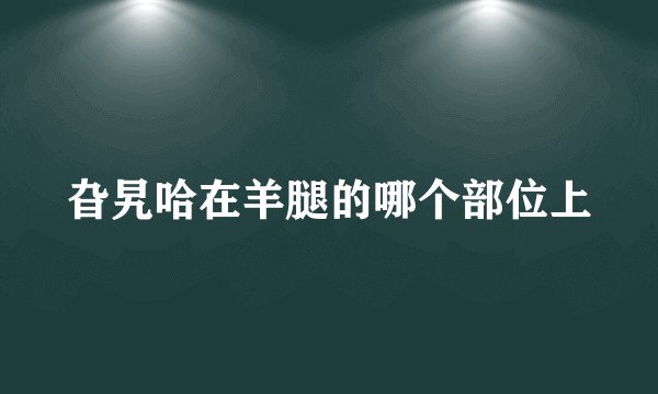 旮旯哈在羊腿的哪个部位上