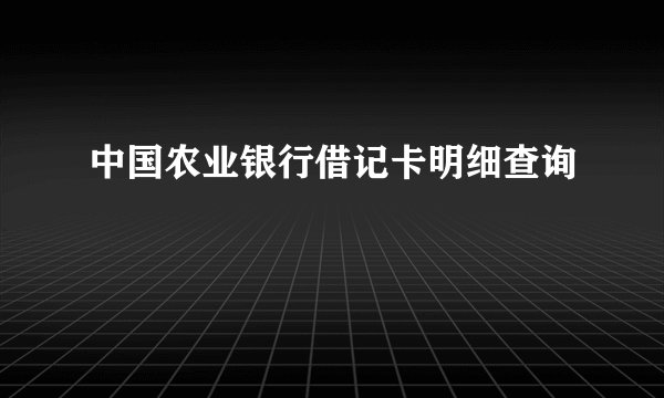 中国农业银行借记卡明细查询