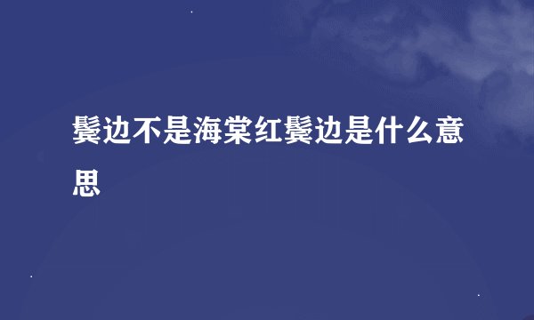 鬓边不是海棠红鬓边是什么意思