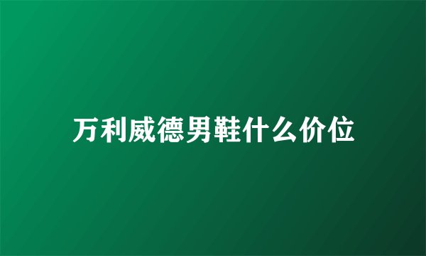 万利威德男鞋什么价位