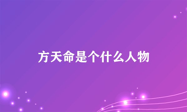 方天命是个什么人物