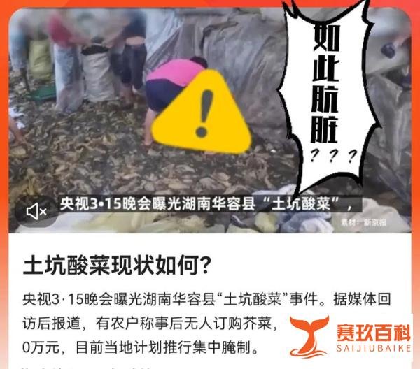 被曝光的“土坑酸菜”现状凄惨？你会同情他们吗？