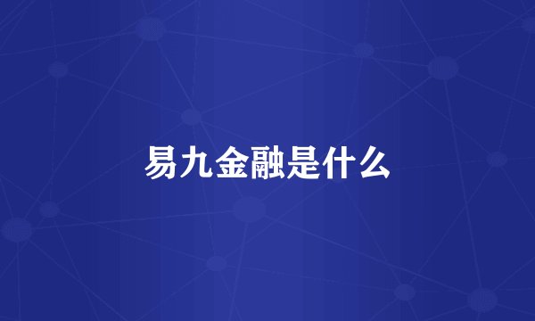 易九金融是什么