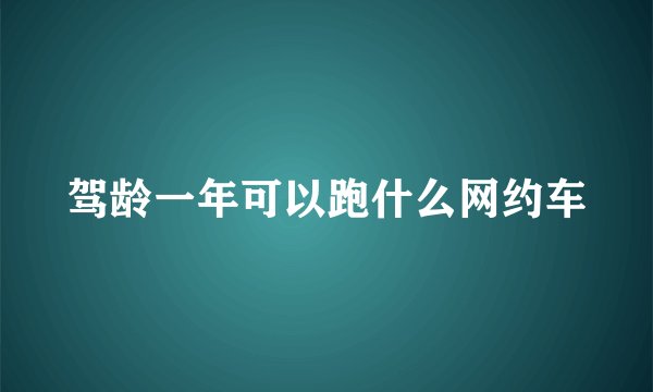 驾龄一年可以跑什么网约车