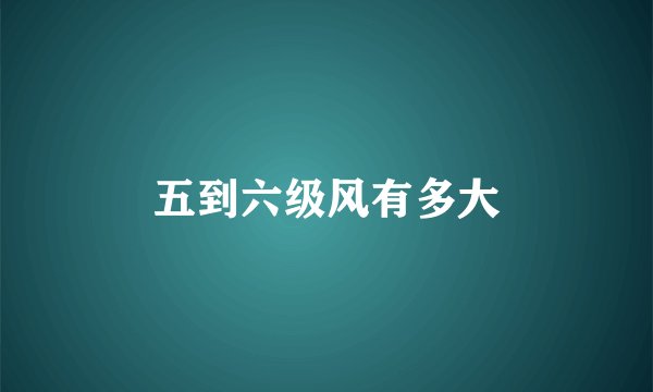 五到六级风有多大