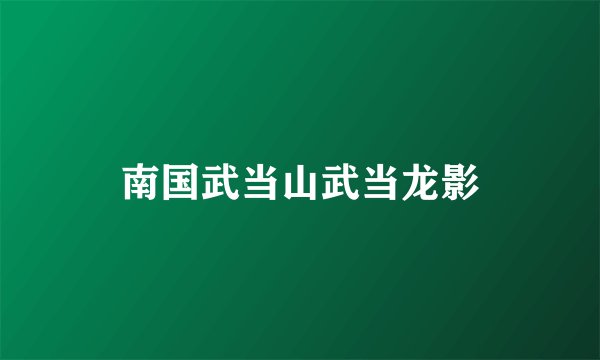 南国武当山武当龙影