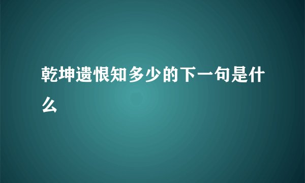 乾坤遗恨知多少的下一句是什么