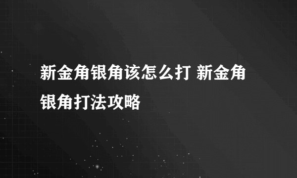 新金角银角该怎么打 新金角银角打法攻略