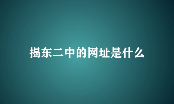 揭东二中的网址是什么