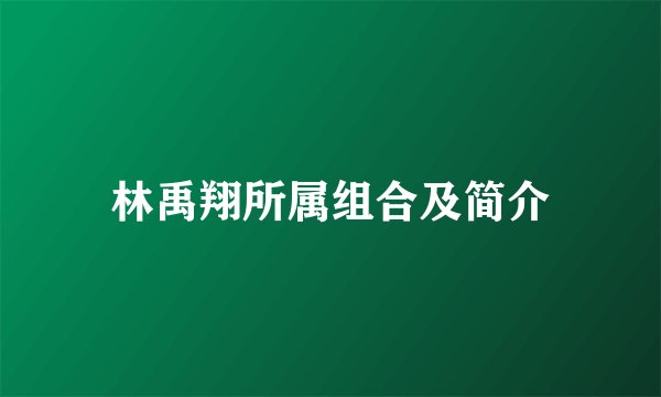 林禹翔所属组合及简介