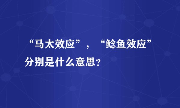 “马太效应”，“鲶鱼效应”分别是什么意思？
