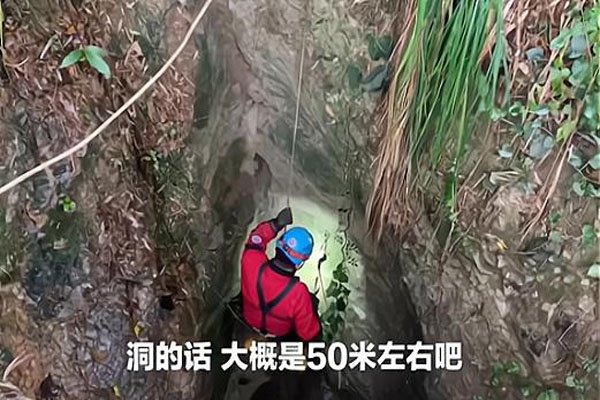 曲靖一只小狗掉深洞6年后被救，这只小狗是如何得救的？