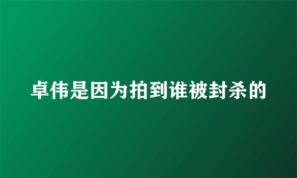 卓伟是因为拍到谁被封杀的