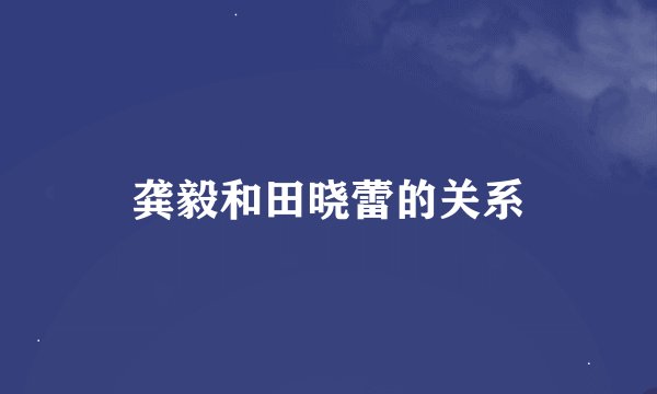 龚毅和田晓蕾的关系