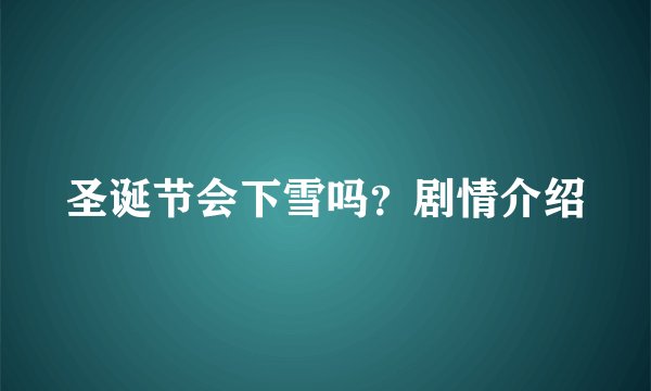 圣诞节会下雪吗？剧情介绍