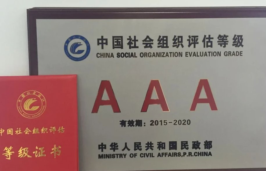社会组织等级越高，代表？