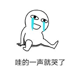 泪奔的表情包是什么意思