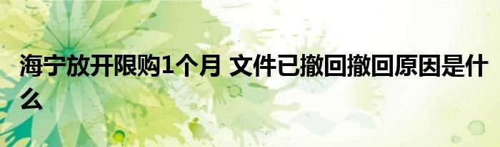 海宁放开限购1个月文件已撤回撤回原因是什么