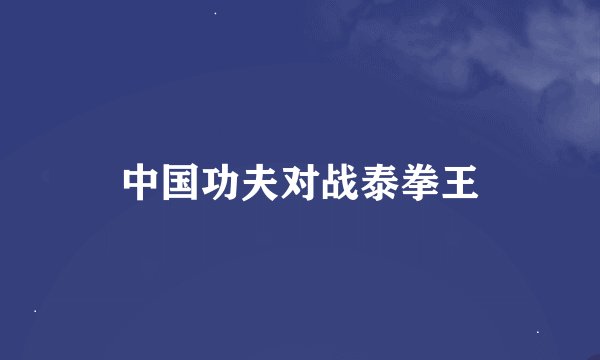 中国功夫对战泰拳王