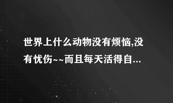 世界上什么动物没有烦恼,没有忧伤~~而且每天活得自由自在?拜托各位大神