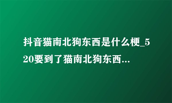 抖音猫南北狗东西是什么梗_520要到了猫南北狗东西情侣名含义介绍